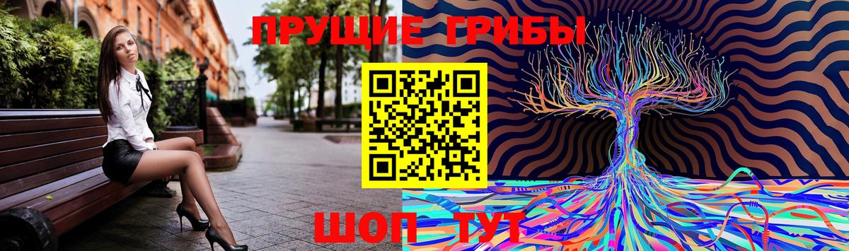 Галлюциногенные грибы Magic Shrooms  Вход с VPN  Куйбышев 