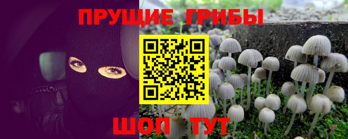 МДМА  APVP СОЛЬ   Cocaine  Где продают наркотики?  Мефедрон кристаллы  Вход с VPN  Куйбышев  ГАШИШ  МАРИХУАНА 
